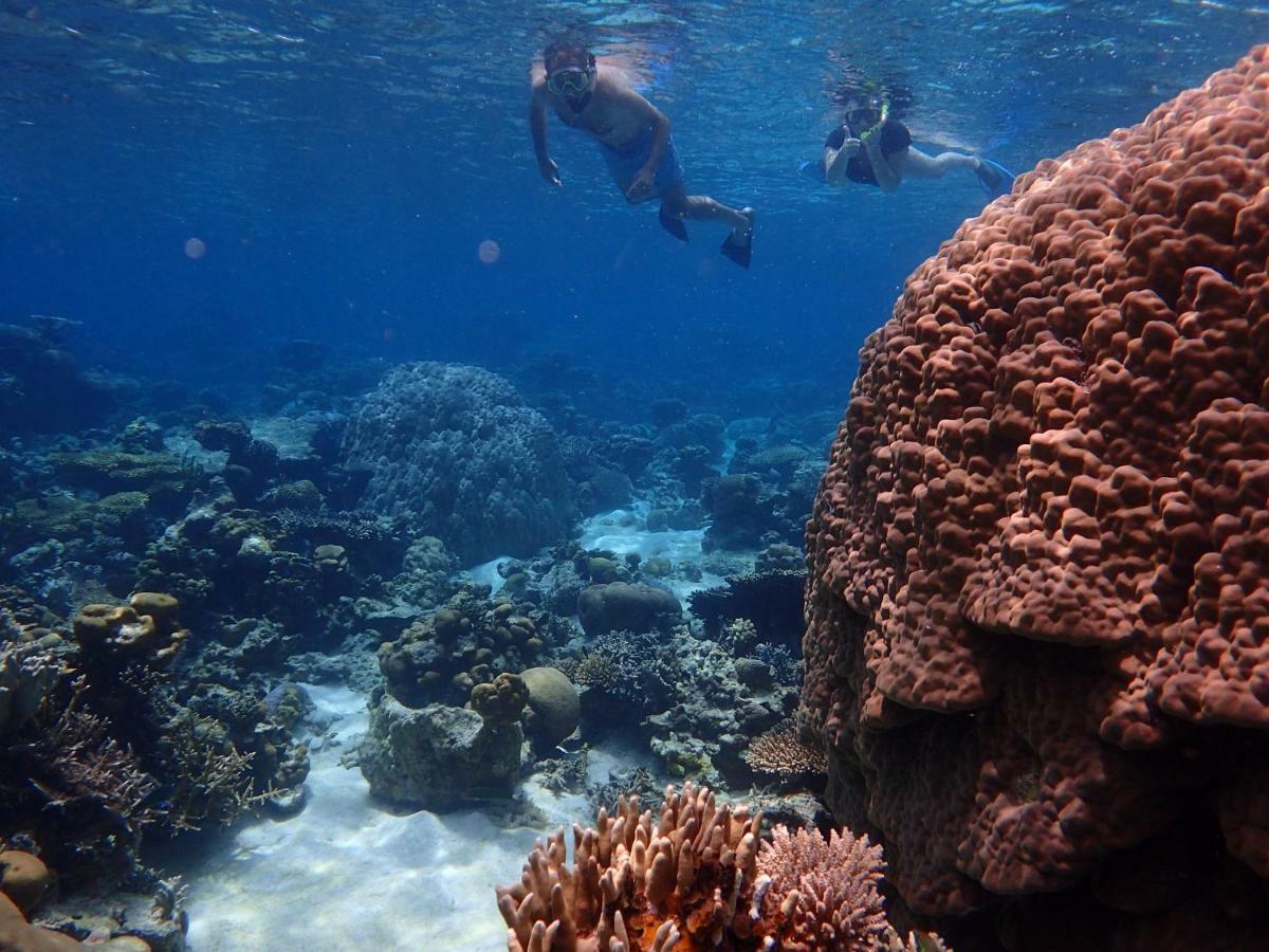 Blue Coral Homestay Karimunjawa Zewnętrze zdjęcie