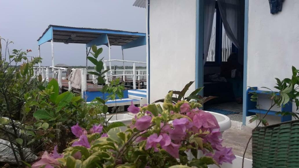 Blue Coral Homestay Karimunjawa Zewnętrze zdjęcie